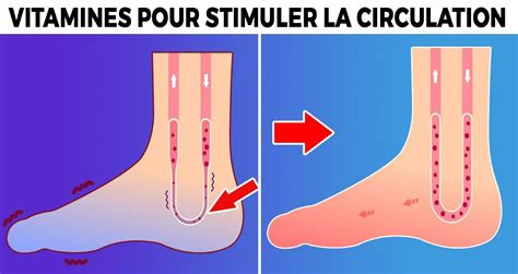 Les 7 meilleures vitamines pour améliorer instantanément la circulation