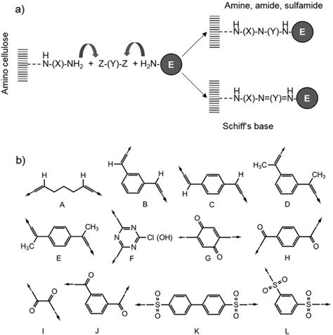 Schematic Representation For A The Enzyme Immobilization On Amino Download Scientific Diagram