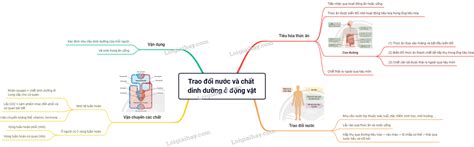 Lý thuyết trao đổi nước và các chất dinh dưỡng ở động vật Khoa học tự