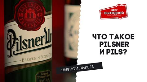 Что такое Пилснер и Пилс (Pilsner и Pils)? – Пивной ликбез #10 с ...