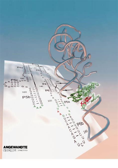 Pdf Tertiary Motifs In Rna Structure And Folding · 2 Rna Structure 2