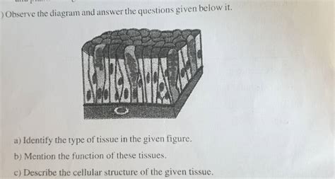 Observe The Diagram And Answer The Questions Given Below It A Identify