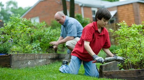 How To Get Rid Of Gophers In Your Yard And Garden EKOTERRA