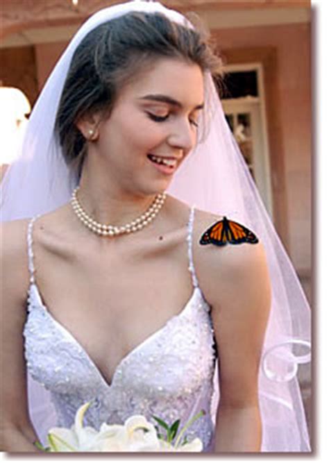 Live Butterflies For Your Event Butterfly Weddings Butterfly