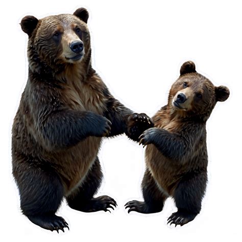 Mama Bear Png Images 100