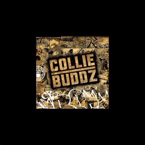 ‎collie Buddz Album Von Collie Buddz Apple Music