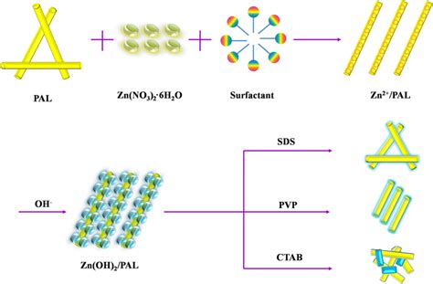 Schematic Illustration For The Surfactant Assisted Formation Of Zno Pal