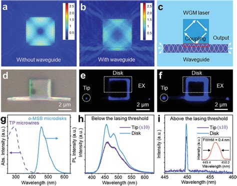 A Optical Field Distribution In A Typical Wgm Microcavity Without