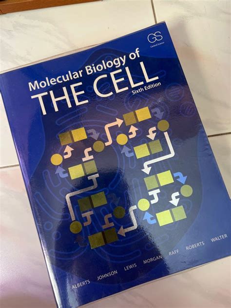 Molecular Biology Of The Cell Sixth Edition Hobbies Toys Books