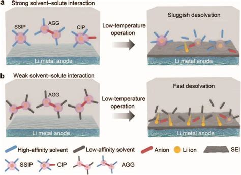 9篇angew，4篇am，joule、jacs、chem全球高被引科学家清华张强教授2022年成果精选！ 知乎