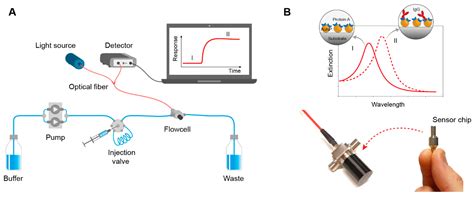 Processes Free Full Text Real Time Nanoplasmonic Sensor For Igg Monitoring In Bioproduction