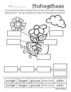 Photosynthesis Diagram For Kids Worksheet