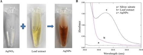 Green Synthesis Of Silver Nanoparticles A Change In The Color Of