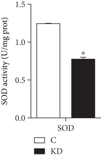 Ah Oxidative Stress Markers Of The Gsh Gsh Px Cat H O Mda