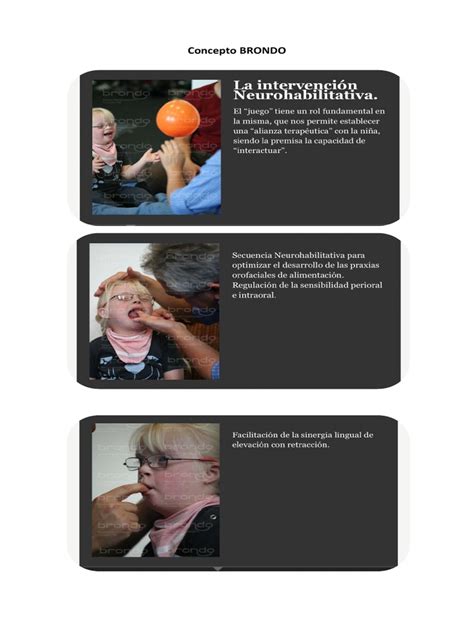 Concepto BRONDO | PDF