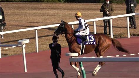 【競馬】第21回チャンピオンズカップgⅠ 本馬場入場 現地映像 チュウワウィザード 競馬動画まとめ