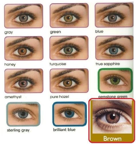 Top 105 Pictures Tipos De Color De Ojos Y Sus Nombres Superb