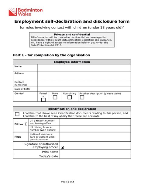 Employment Self Declaration And Disclosure Template Doc Template