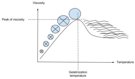 Starch Gelatinization | Baking Processes | BAKERpedia