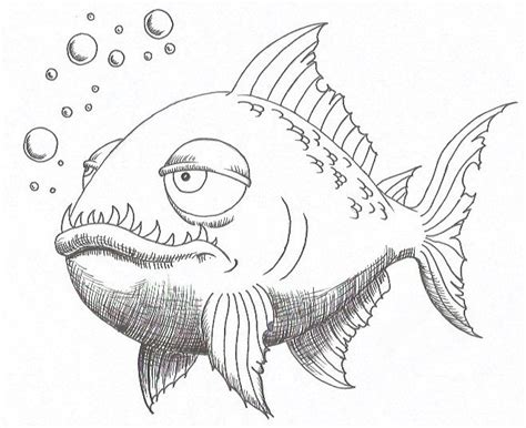 Piranha Drawing, Pencil, Sketch, Colorful, Realistic Art Images ...