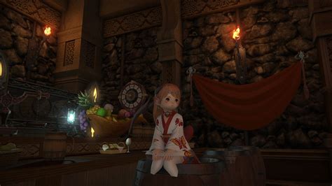 FF14萌新孤独入坑手册 五 哔哩哔哩