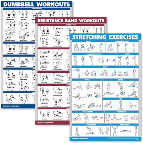 Palace Learning 3 Pack Dumbbell Exercise Poster India Ubuy