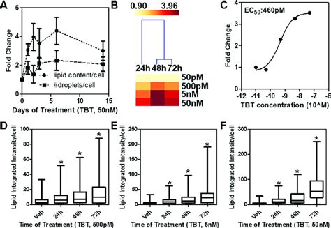 TBT Increases Lipid Content In A Time And Dose Dependent Manner In