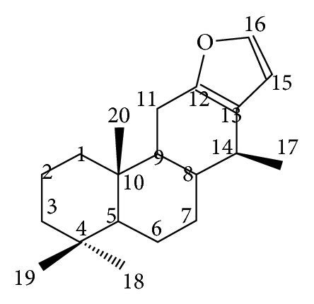 Basic Structure Of Diterpenes A Linear Diterpene And B Vouacapane