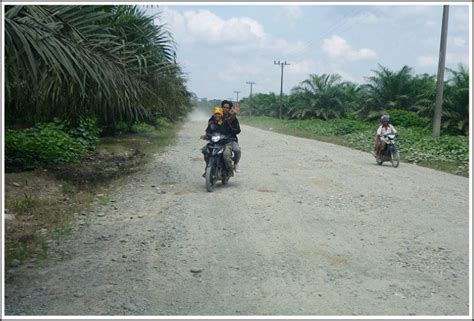 Tangkahan Travel Guide: Elephant Trekking in the Jungles of Sumatra ...