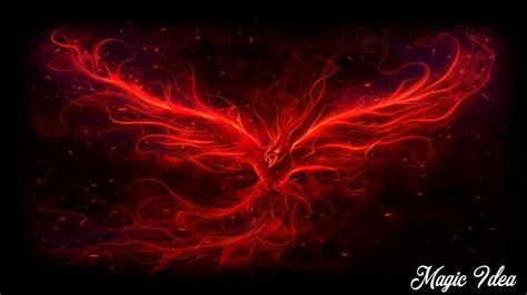 4K Phoenix Wallpapers - Top Free 4K Phoenix Backgrounds - WallpaperAccess