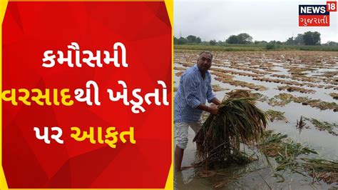 Gujarat Weather News ગુજરાતના ખેડૂતો પર માવઠાનો માર Unseasonal Rain Farmer Gujarati News