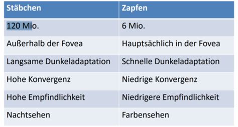 Wahrnehmung I Karteikarten Quizlet