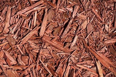 Wood Mulch And Soil