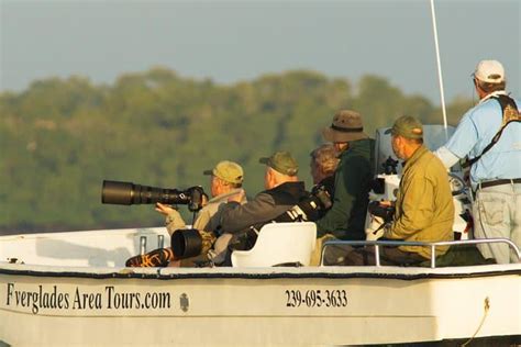 Everglades National Park Dolphin, Birding and Wildlife Boat Tour