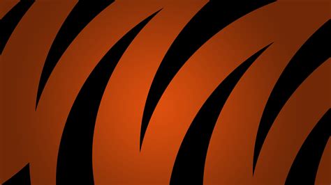 Cincinnati Bengals Wallpapers on WallpaperDog