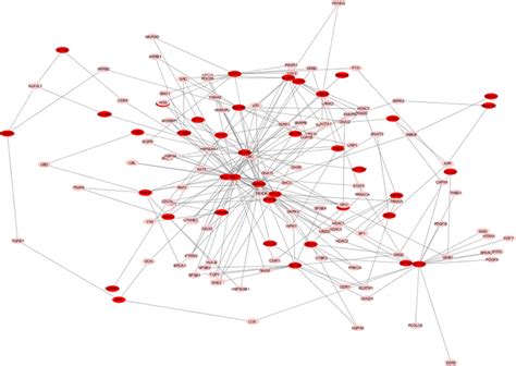 Protein Protein Interaction Network Of The Screened Up Regulated Degs