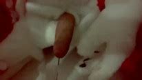 FLOOR 19 SMUT CUT Furry Gay Animation Pornhub Gay