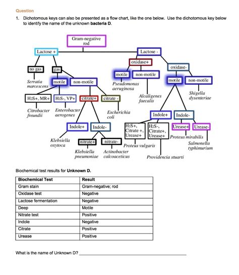 Gram Negative Bacteria Chart