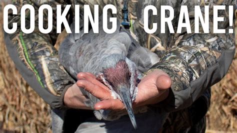 Really The Ribeye Of The Sky How To Cook Sandhill Crane Youtube