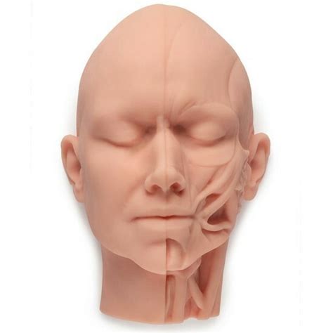 Face Realista Nude Para Treinamento Harmoniza O Orofacial Mac Den