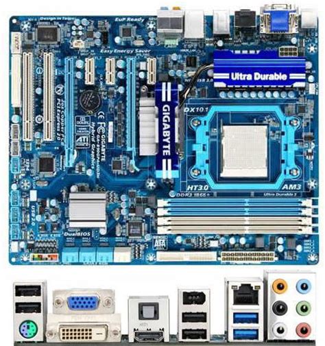 Socket AM3, материнские платы: описание, технические характеристики и ...