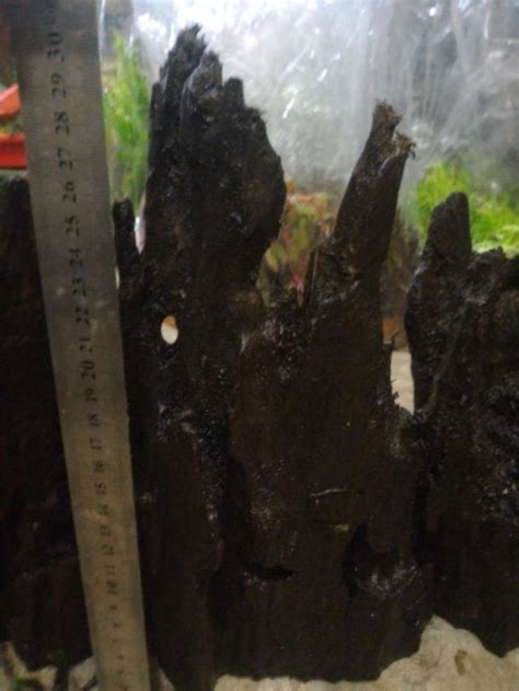 Jual Kayu Aquascape Aquarium Ukuran 25 35Cm Untuk Tebing Air Terjun