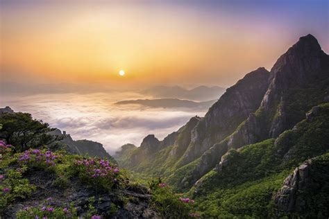 trees seoul forest south korea mist landscape nature rock sky