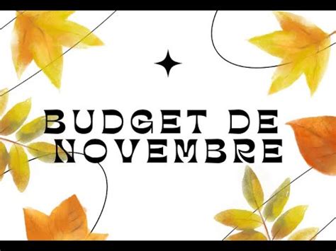 Pr Sentation De Mon Budget De Novembre Et Des D Fis Pour Le Mois Youtube