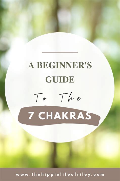 A Beginners Guide To The 7 Chakras The Hippie Life Of Riley 7