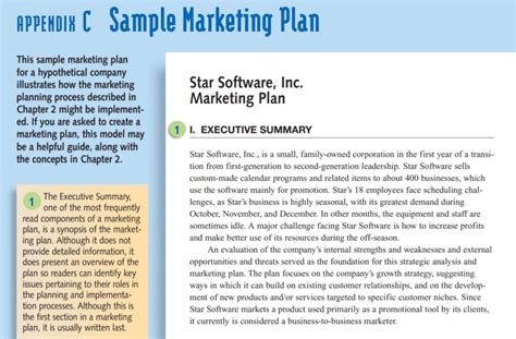 Executive Summary Example For Marketing Plan