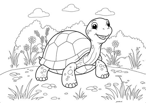 Tartaruga Dacqua: Libro Sui Tartaruga Dacqua Per Bambini Con Foto Stupende And Storie Divertenti 1