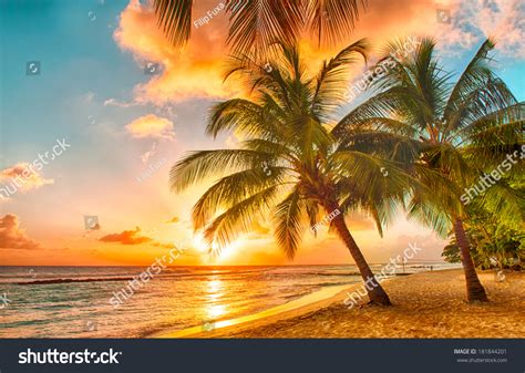 124,451 Coconut tree sunset Images, Stock Photos & Vectors | Shutterstock