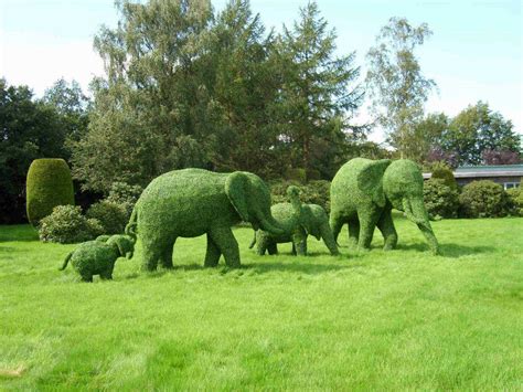 Green Animal Garden - Topiary Art