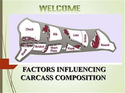 Factors Influencing Carcass Composition Ppt